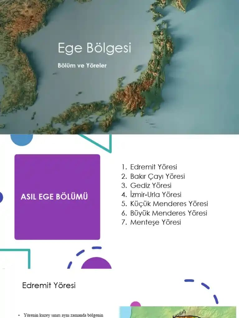 Ege Bölgesi Karkas Et Piyasasının Güncel Durumu ve Gelecek Perspektifleri
