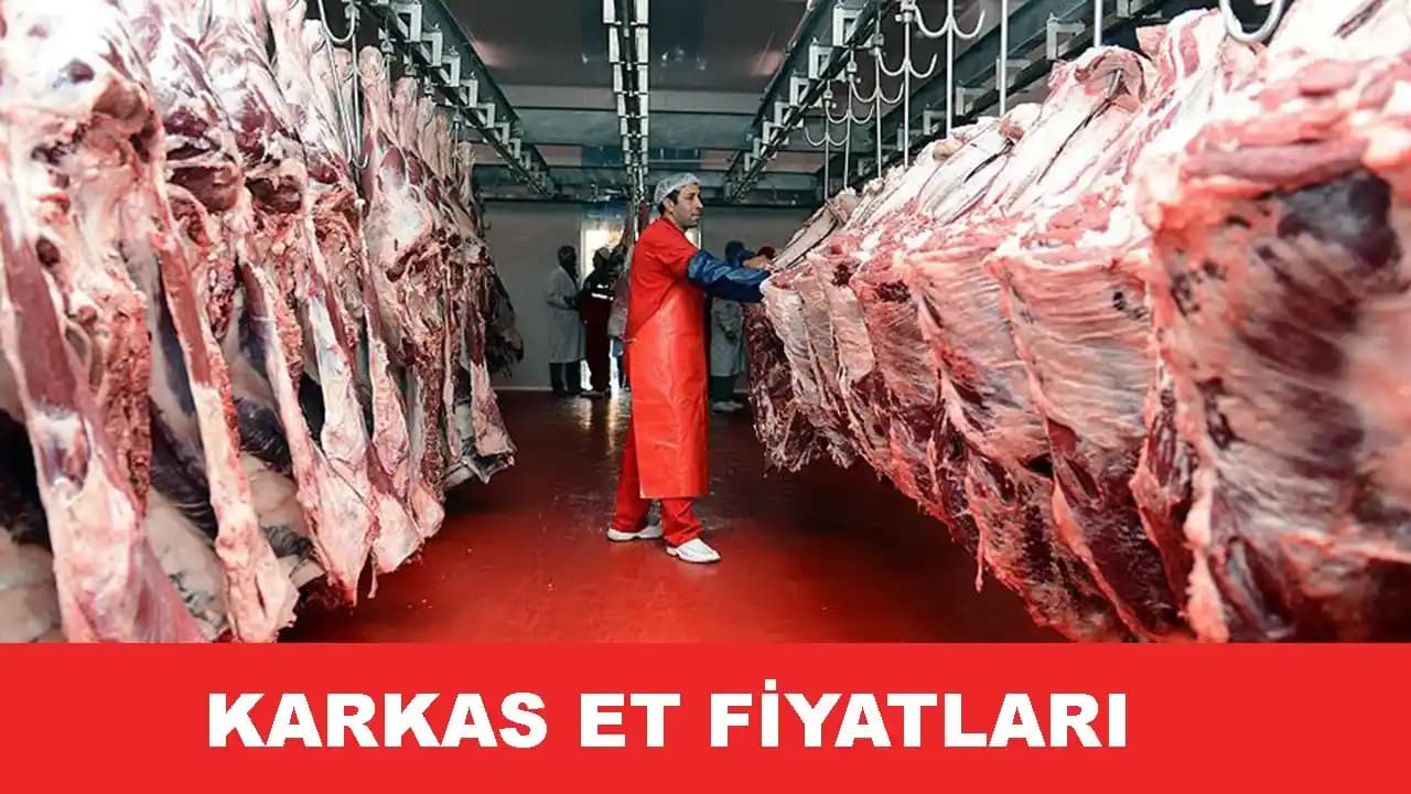 Ege Bölgesinde Karkas Et Satış Fiyatlarını Etkileyen Faktörler ve Güncel Durum