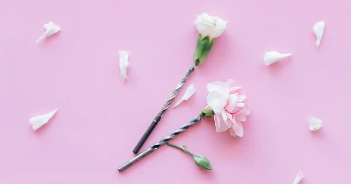 Evde Akreplerle Mücadele ve Böcek İlaçları Kullanımı Rehberi