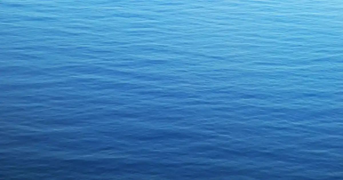 Farklı Damak Zevklerine Uygun Cips Çeşitleri ve Fiyatlandırma Analizi