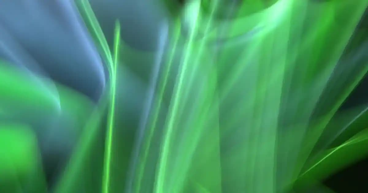 Fındık Yağı Fiyat ve Kalite Analizi: Sağlıklı ve Doğal Ürün Seçenekleri