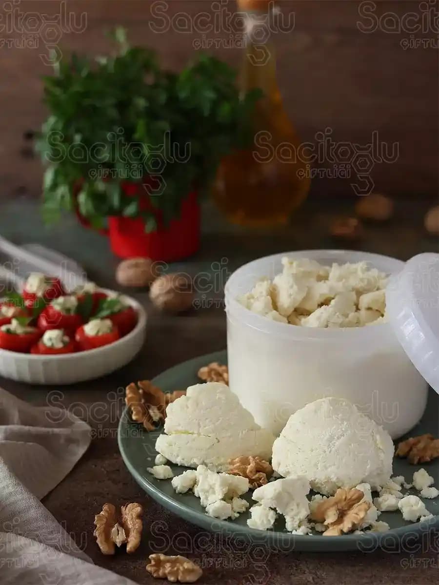 Geleneksel ve Modern Tulum Peyniri Karşılaştırması Türkiye'nin Zengin Peynir Kültüründe