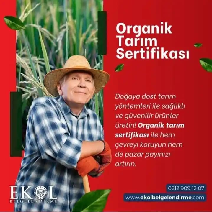 Güvenilir ve Sağlıklı Organik Ürünler: Doğru Seçim Rehberi ve İpuçları