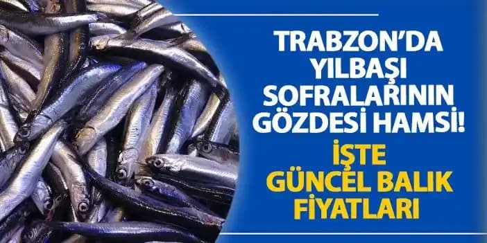 Hamsi Balığının Güncel Fiyatları ve Piyasa Durumu Analizi