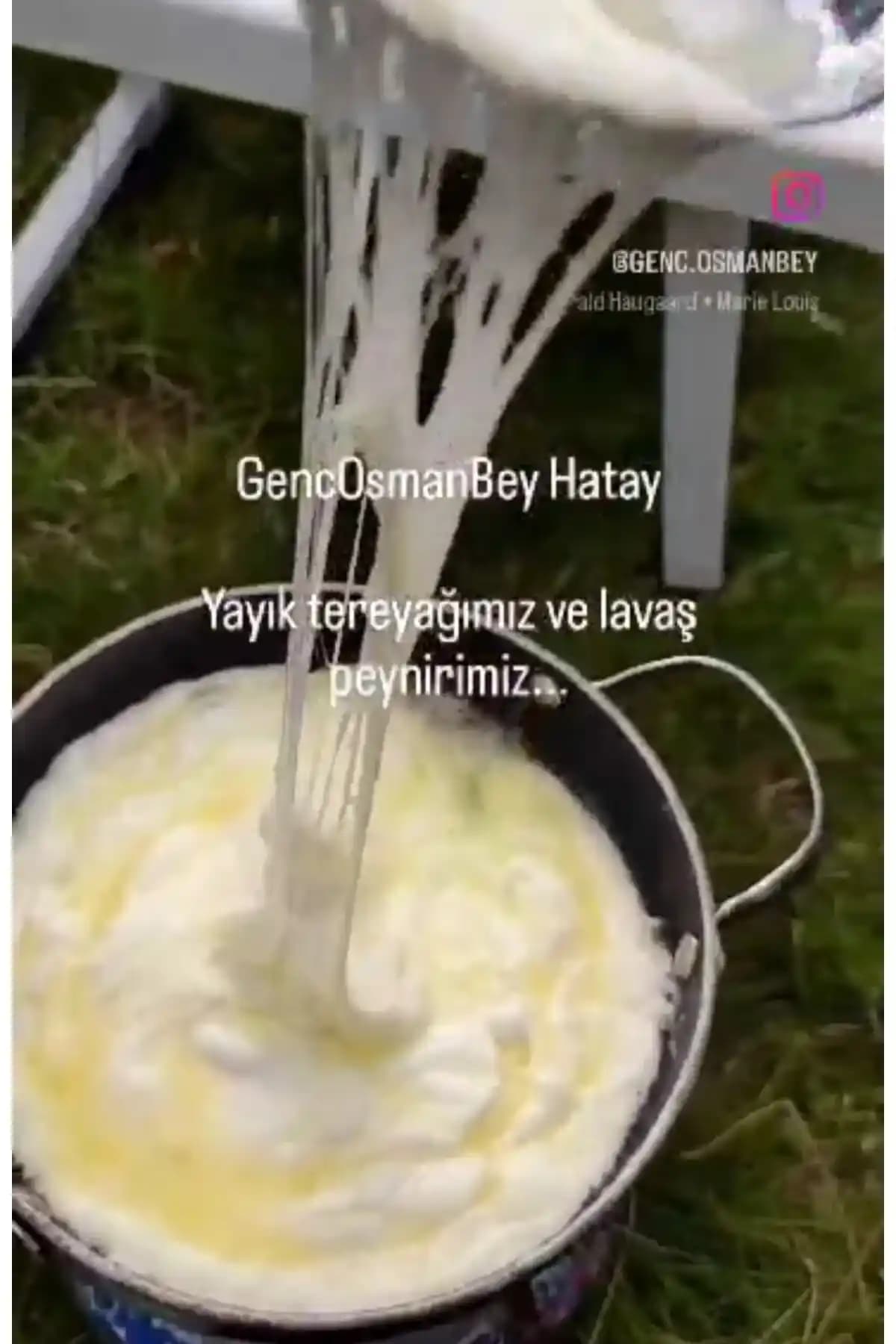Hatay Tarzı Künefelik Peynir: Bölgesel Lezzetin Özgün Yansıması ve Üretim Özellikleri