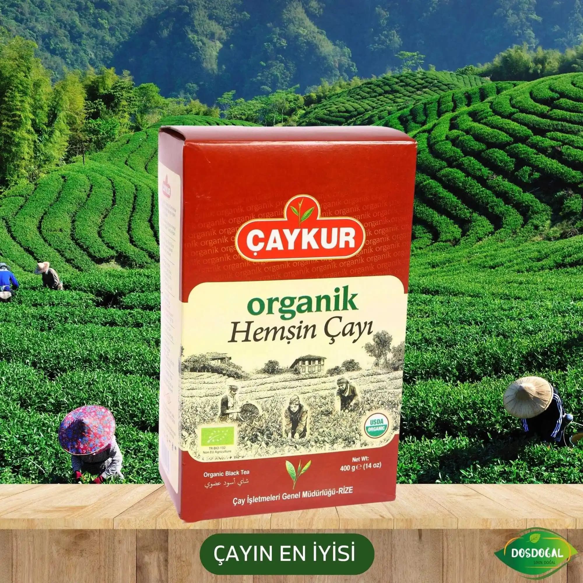 Hemşin bölgesine özgü organik çayın rahatlatıcı etkileri ve sağlıklı yaşam için önemi