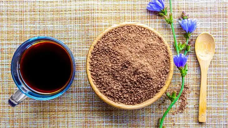 Hindiba Kahvesinin Sağlık Üzerindeki Faydaları ve Kullanım Alanları Analizi