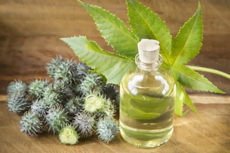 Hint Yağı ile Doğal Güzellik ve Bakım Yöntemleri Rehberi