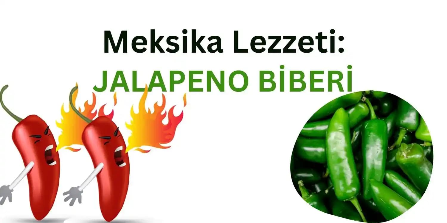 Jalapeno Biberi Seçimi ve Kullanımı: Lezzetli ve Sağlıklı Tarifler İçin İpuçları