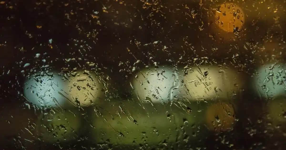 Kahve ve Hindiba Kullanımının Sağlık Üzerindeki Etkileri ve Faydaları