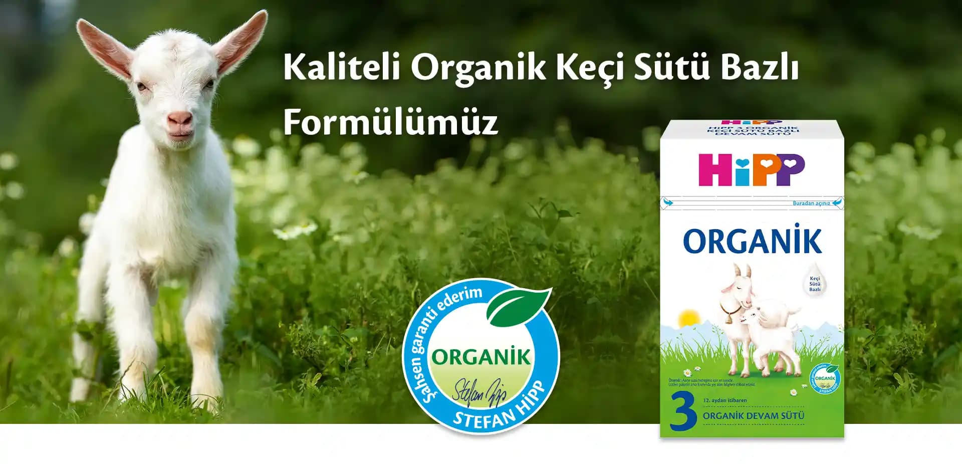 Keçi Sütü Fiyat Farkları ve Organik ile Normal Seçenekler Arasındaki Temel Farklar