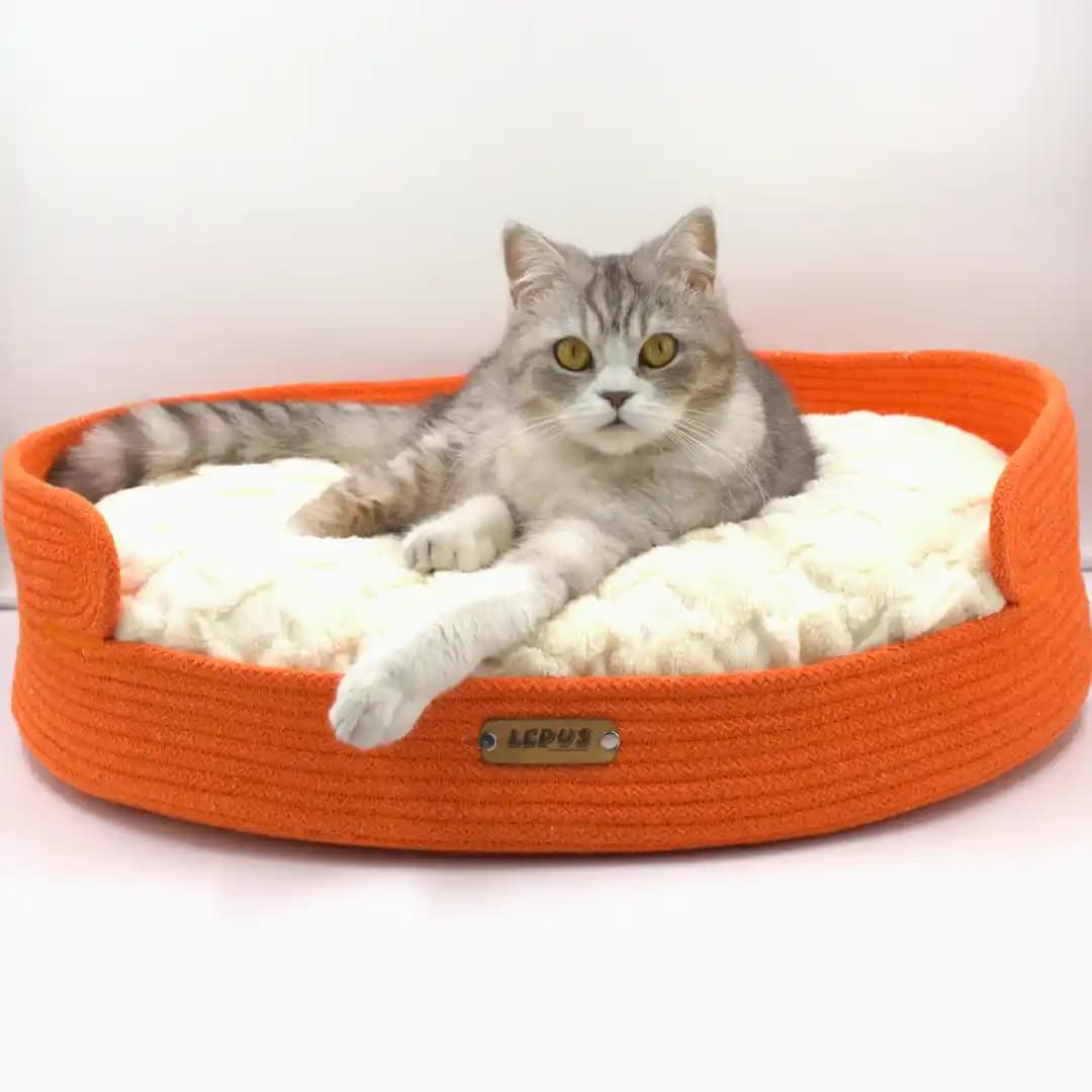 Kedi Yatakları Seçiminde Dikkat Edilmesi Gerekenler ve En İyi Modeller