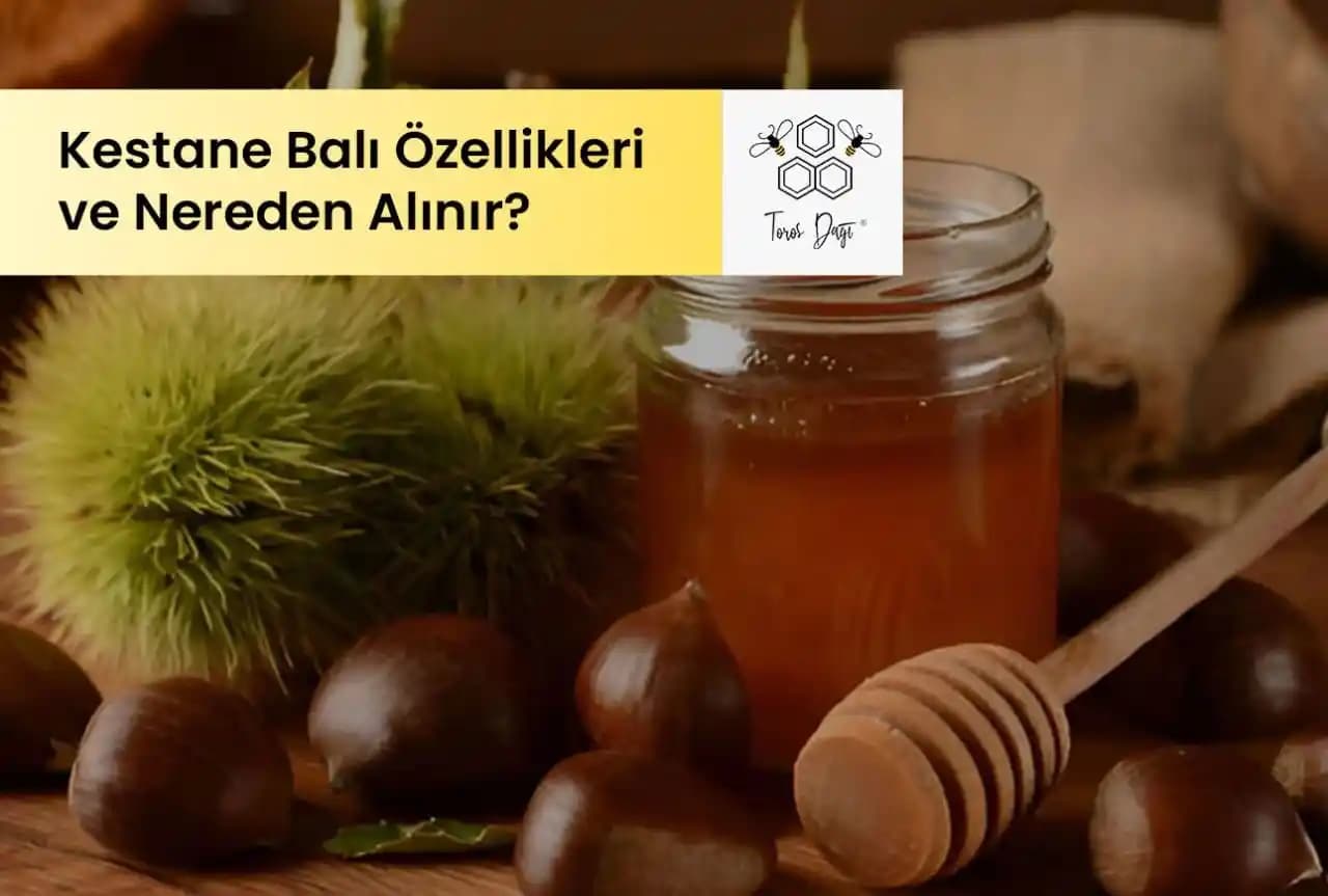 Kestane Balı: Doğal Antioksidan Kaynağı ve Bağışıklık Güçlendirici Özellikleri