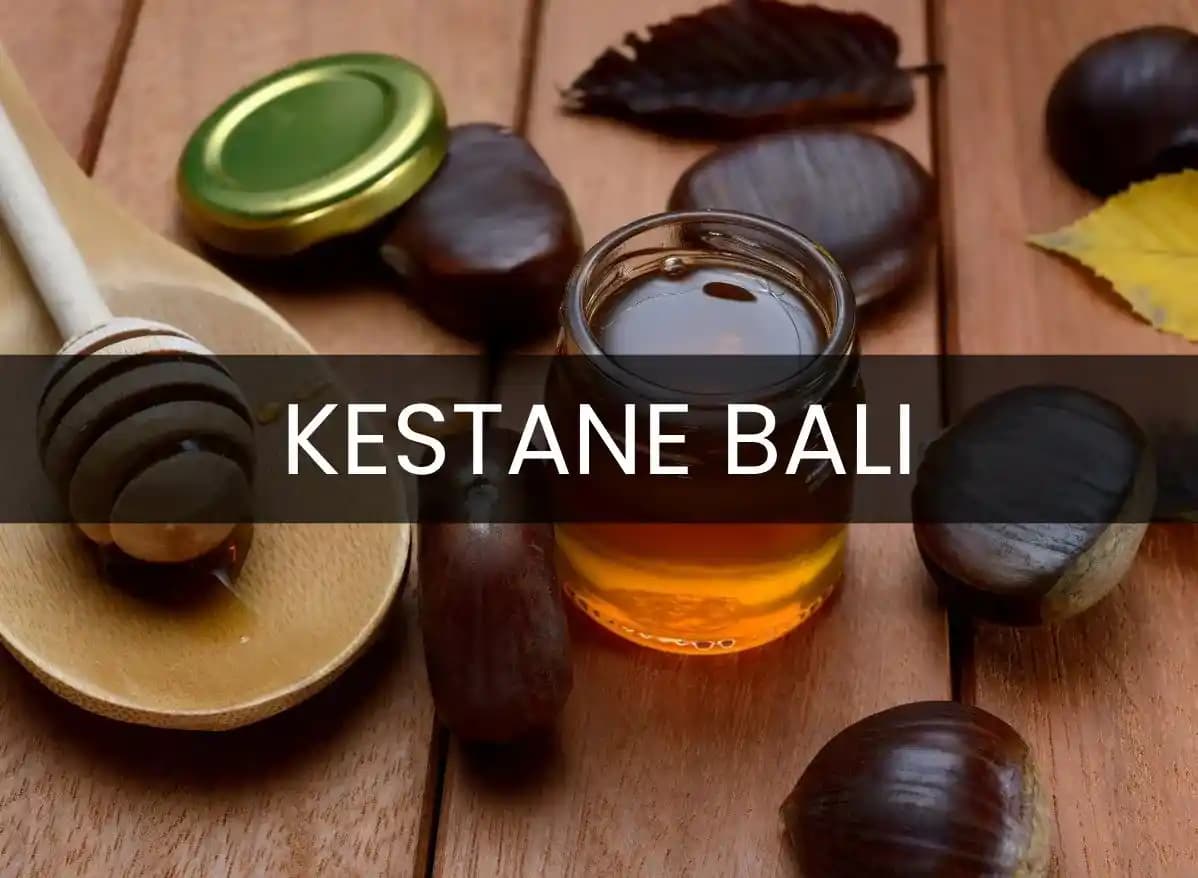 Kestane Balının Özellikleri ve Sağlık Faydaları Hakkında Detaylı Bilgi