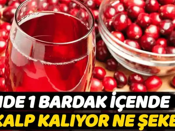Kızılcık Özleri ile Sağlıklı Yaşam ve Doğal Destek Yöntemleri