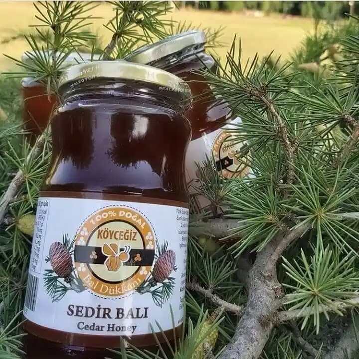 Koycegiz Doğal Balı: Saflık ve Sağlık İçin Geleneksel Üretimle Elde Edilen Bal