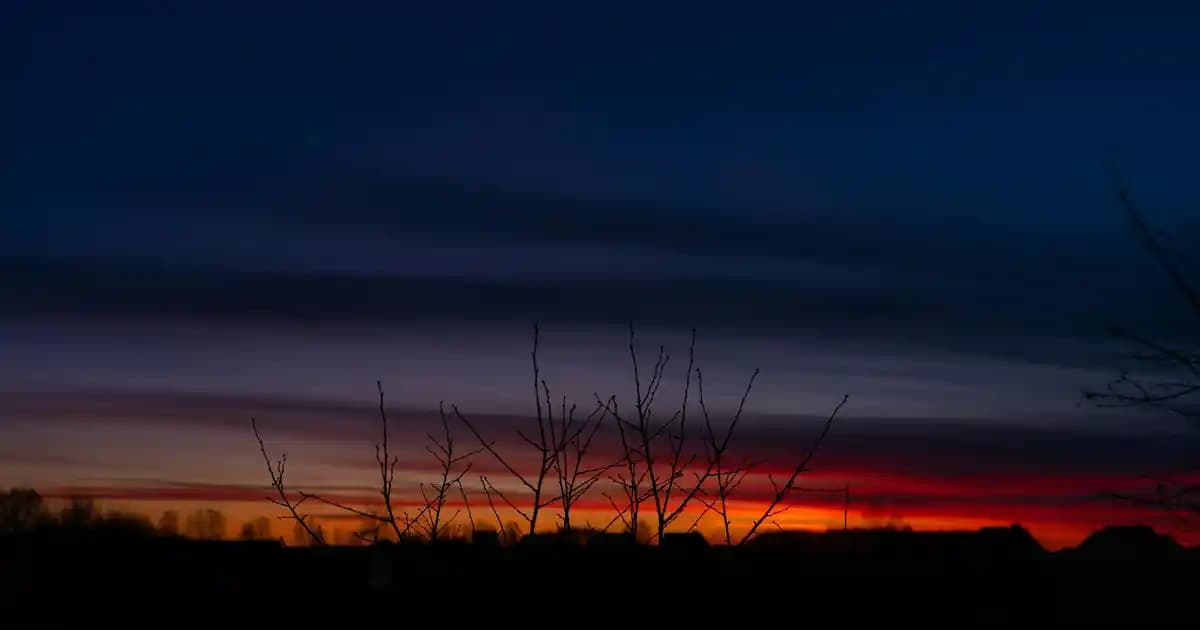 Kütahya Migros Mağaza Hizmetleri ve Ürün Yelpazesi: Geniş Seçenekler ve Müşteri Odaklı Yaklaşımlar