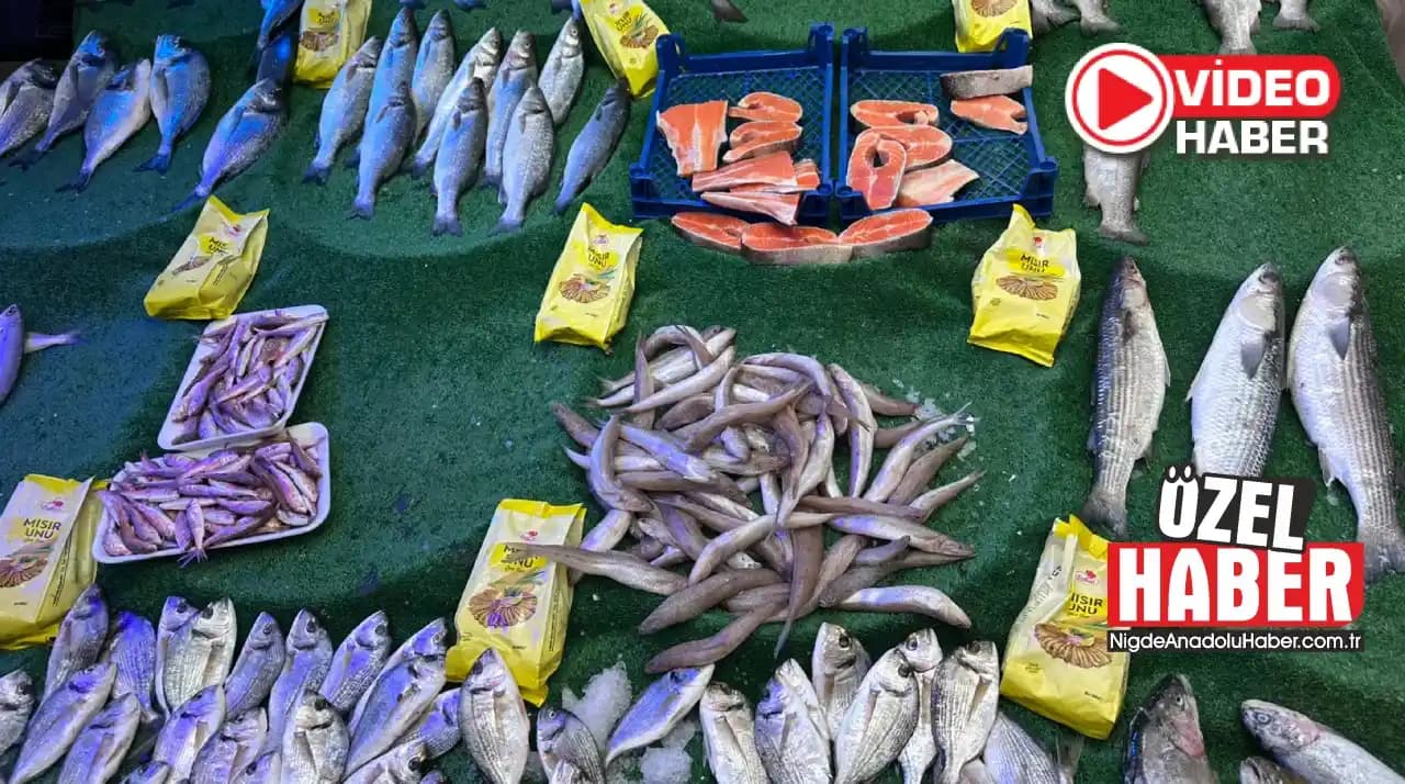 Marketlerde Balık Alırken Görsel Kullanımının Önemi ve Güvenilirliğe Etkisi