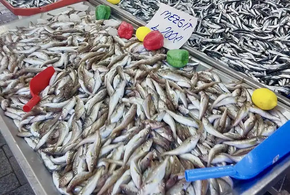 Marketlerde Balık Görsellerinin Müşteri Üzerindeki Etkisi ve Satışlara Yansımaları