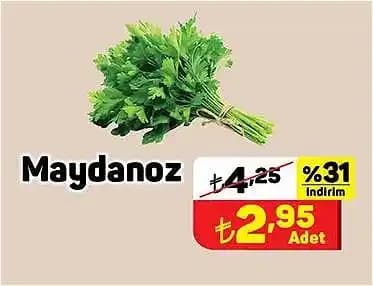 Marketlerde Maydanozun Gramajı ve Güncel Fiyat Durumu Hakkında Bilgiler