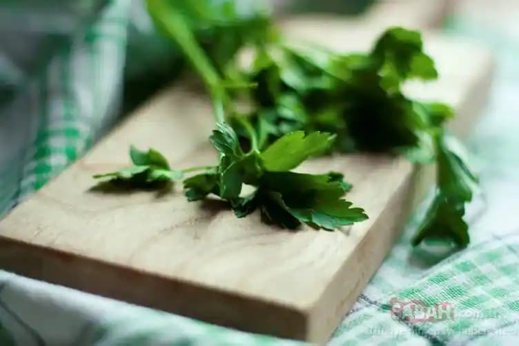 Maydanozun Sağlık Faydaları ve Günlük Yaşamdaki Rolü Hakkında Detaylı Bilgi