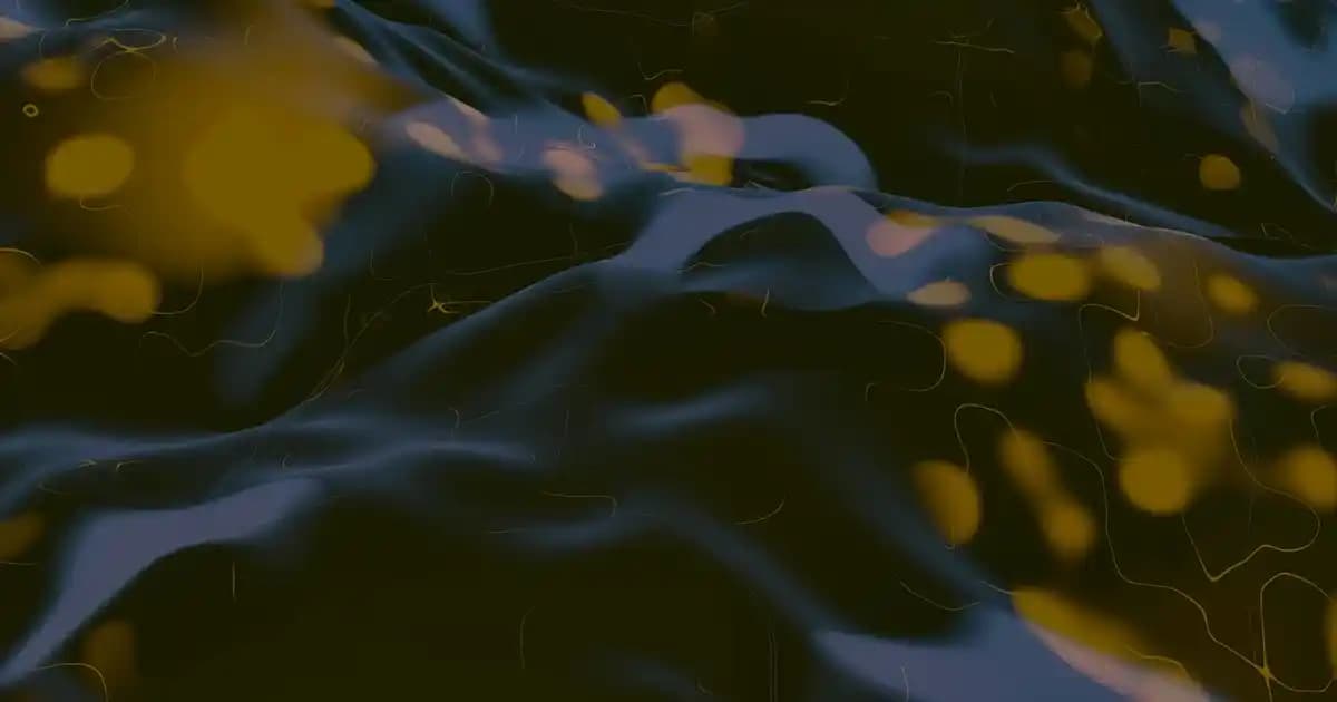 Migros'ta Kamp Malzemeleri ve Alternatif Ürünler Hakkında Detaylı Bilgi