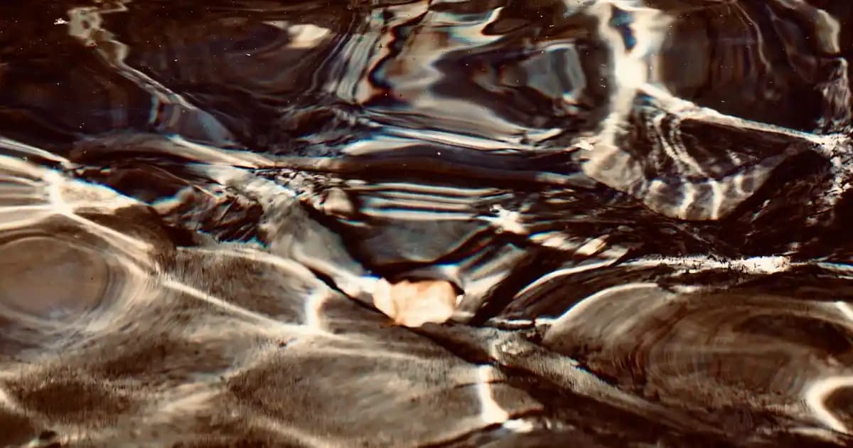 Migros'un Sağlıklı Hazır Kahvaltı Paketleriyle Günlük Beslenmenizi Kolaylaştırın