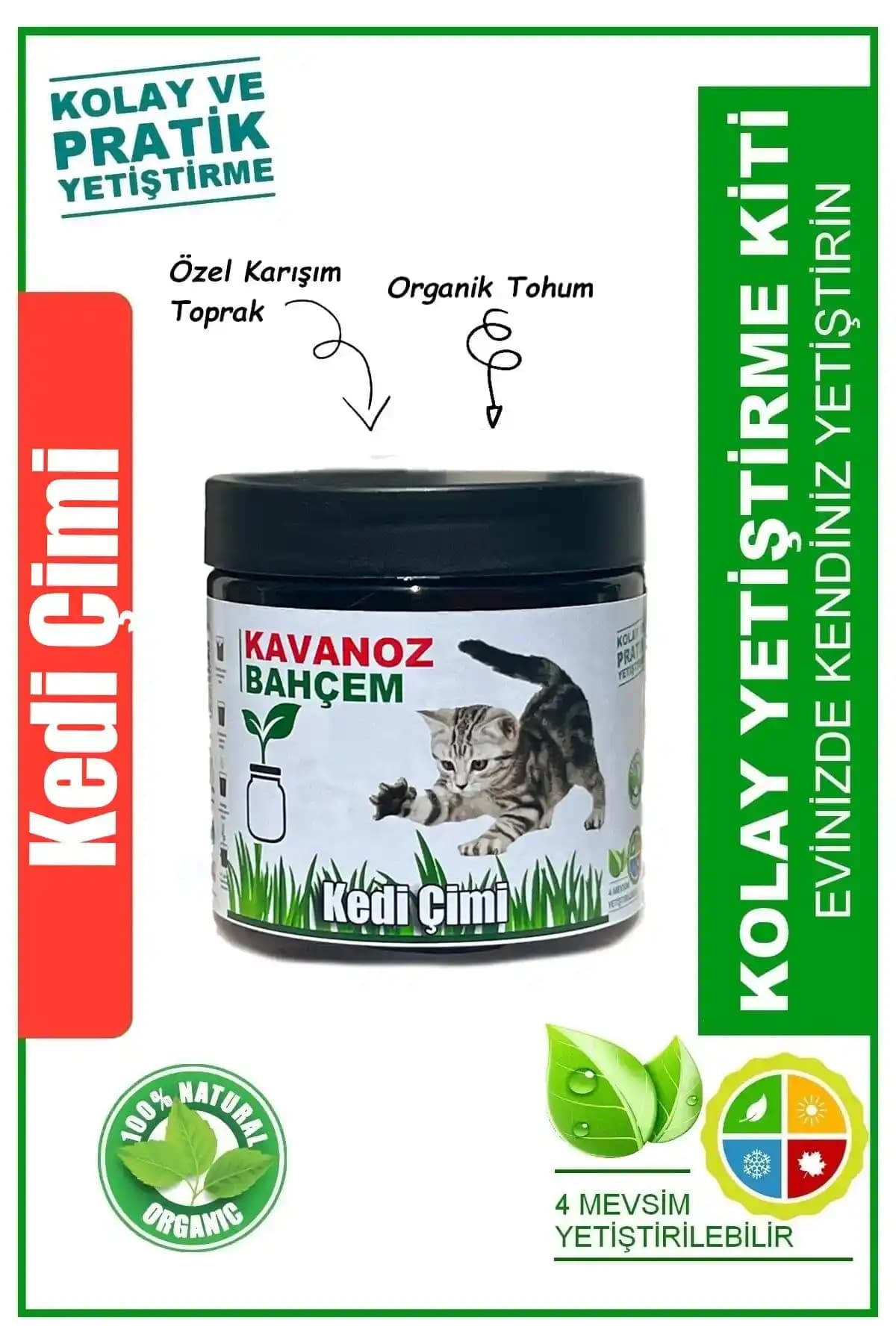 Organik Kedi Mamaları: Doğal ve Sağlıklı Seçeneklerle Kedinizin Yaşam Kalitesini Artırın