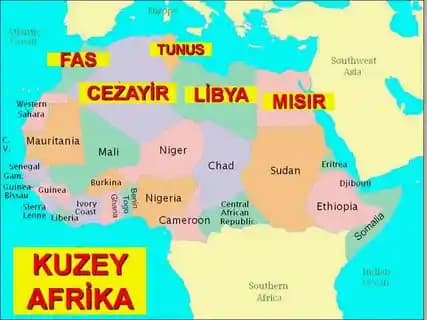 Orijinal Akdeniz Kuzey Afrika Harissa: Baharat ve Acı Biberin Özgün Lezzeti