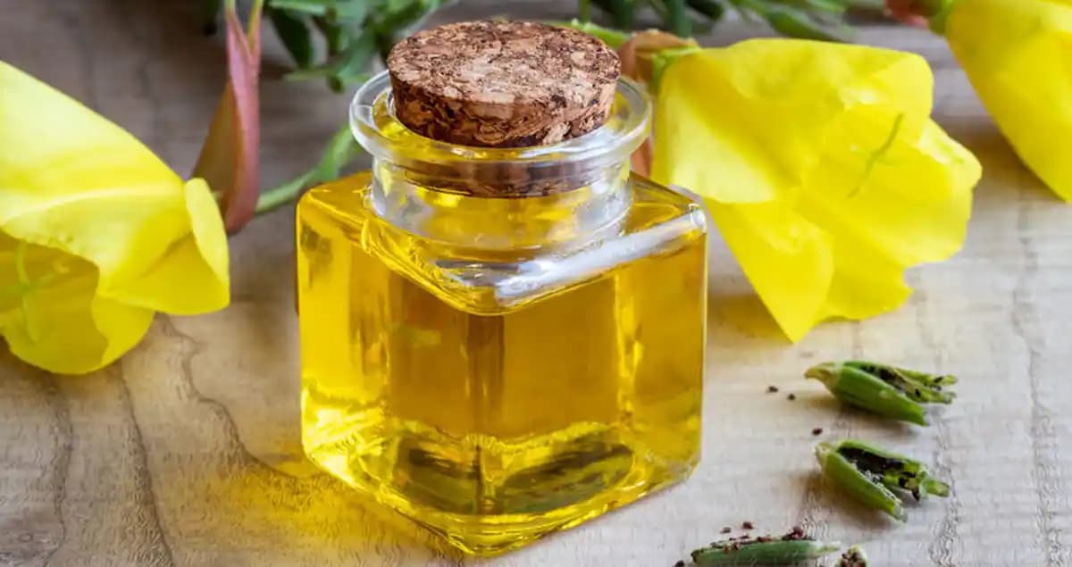 Primroz Yağı ve Cilt Bakımında Kullanımı: Bilinenler ve Bilinmeyenler