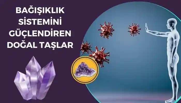 Sabır Taşı, Doğal Bağışıklık ve Memenin Bırakılması: Günlük Yaşamda Anlamlı Bağlantılar