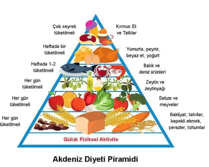 Sağlığı Destekleyen Ostrojen İçeren Gıdalar ve Günlük Kullanım İpuçları