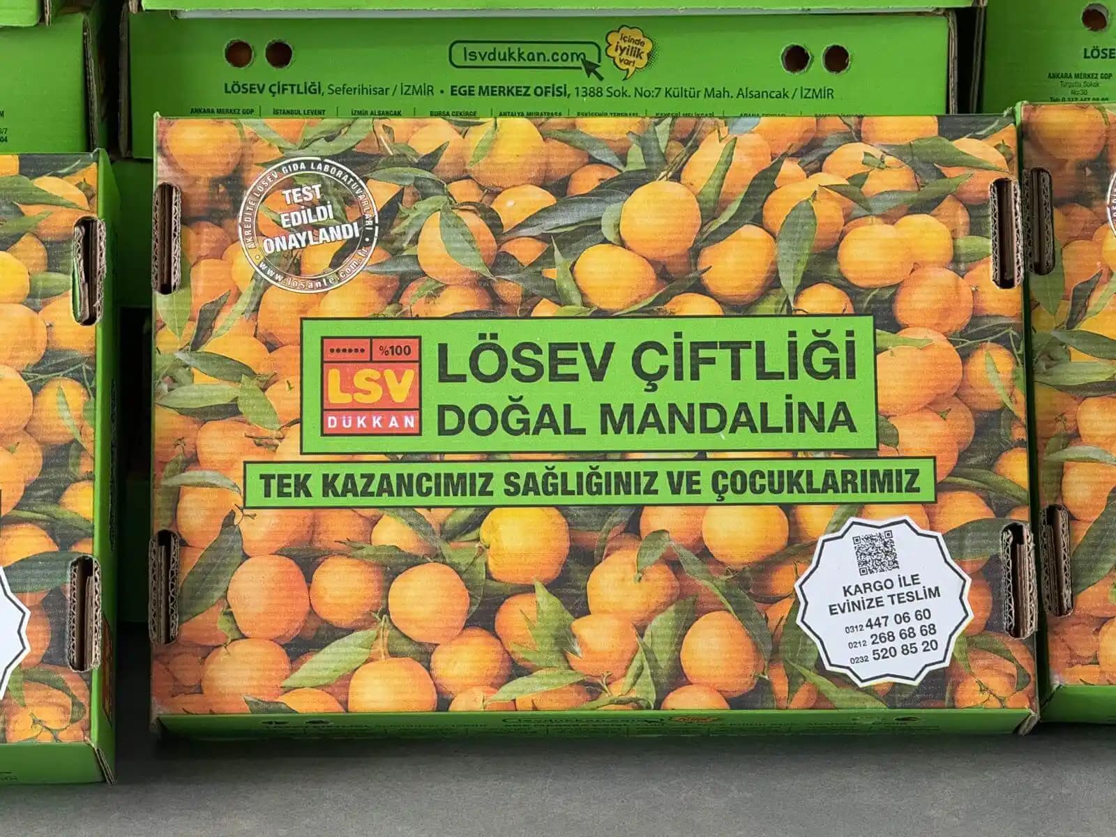 Sağlıklı ve Ekonomik Mandalina Alımı İçin Kapsamlı Rehber