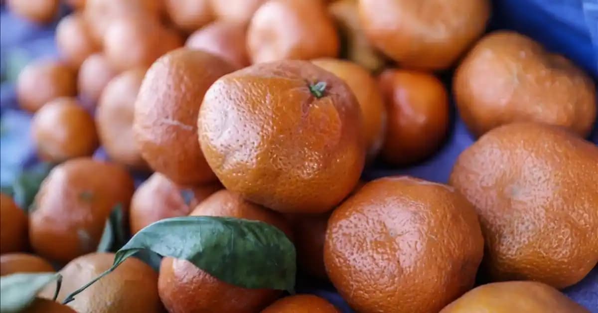 Sağlıklı ve Ekonomik Mandalina Alışverişi İçin Temel Tavsiyeler ve İpuçları