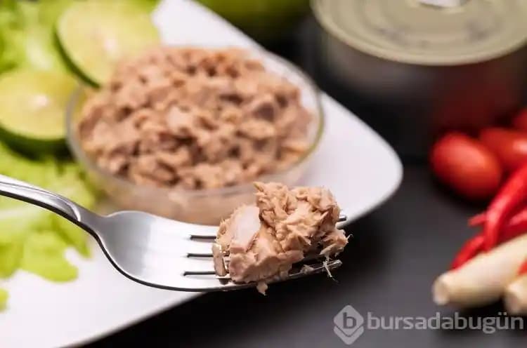 Sağlıklı ve Sürdürülebilir Balık Seçimi: Ton Balığı ve Diğer Sağlıklı Türler Rehberi