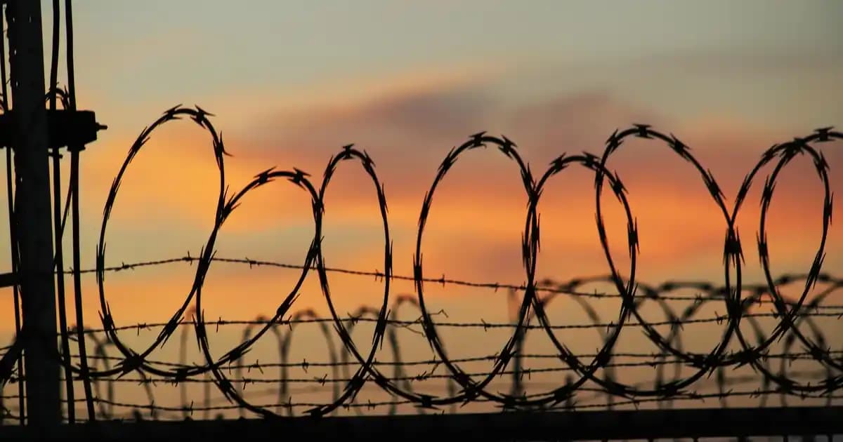 Sağlıklı ve Taze Yerli Muz Seçimi ve Tüketici Rehberi