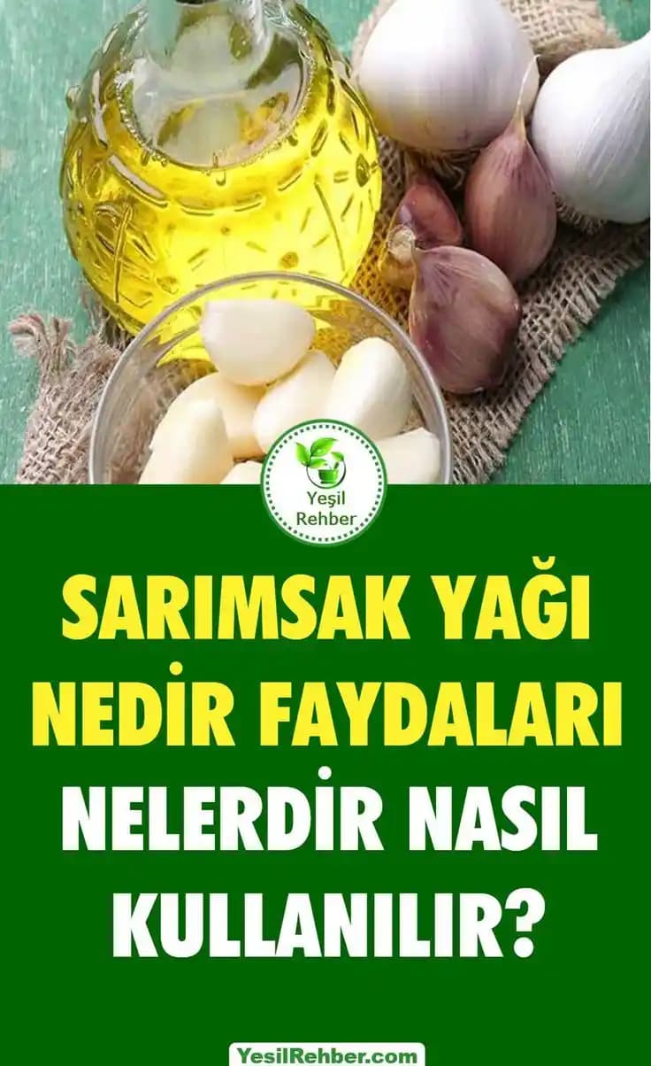 Sağlıklı Yaşamda Kekik, Sarımsak ve Zeytinyağının Rolü ve Faydaları