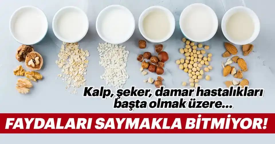 Sütlerin Sağlık Üzerindeki Etkileri ve Beslenmedeki Yeri