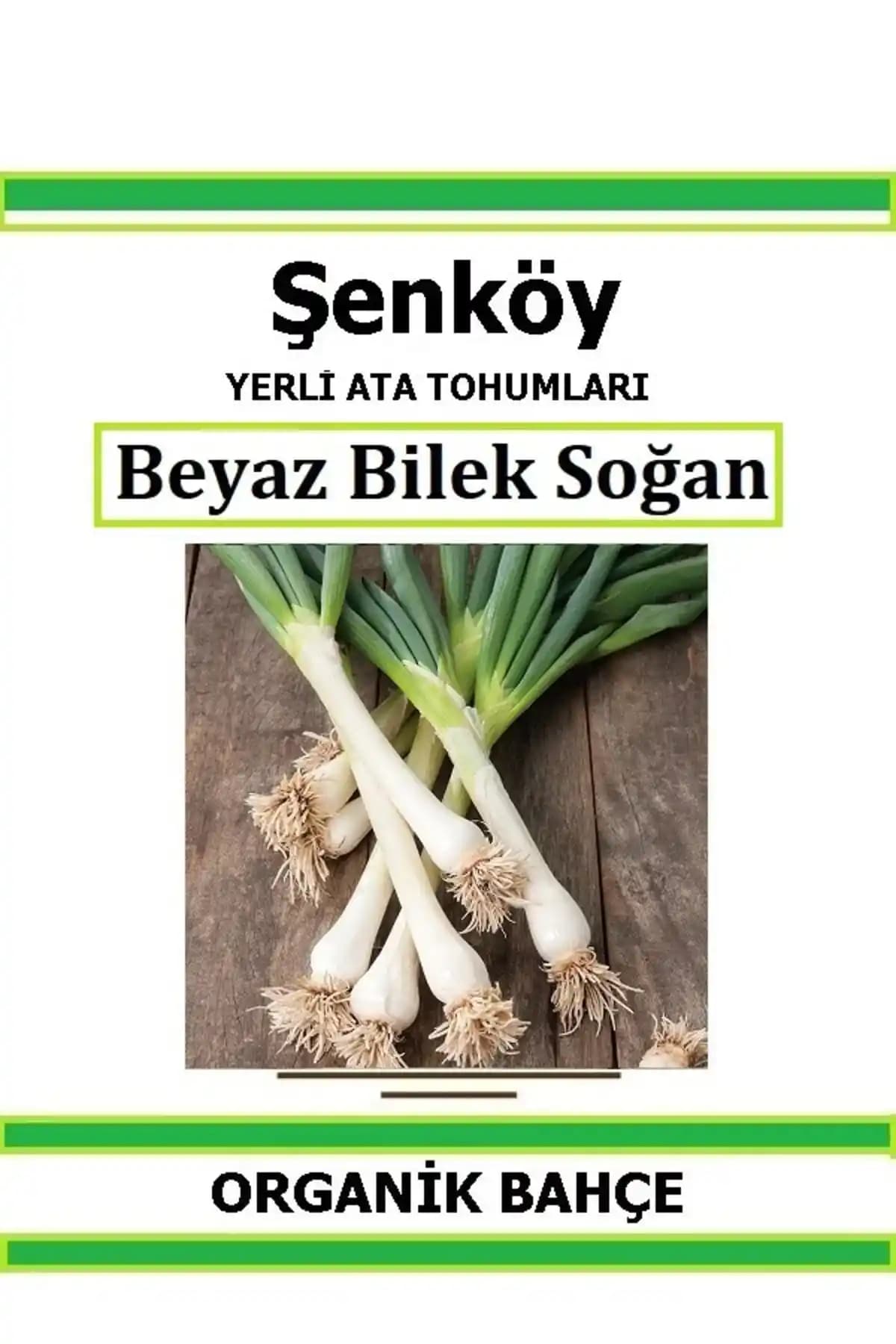 Taze Soğan Fiyatları ve Gramaj Seçenekleri: Güncel Piyasa Analizi