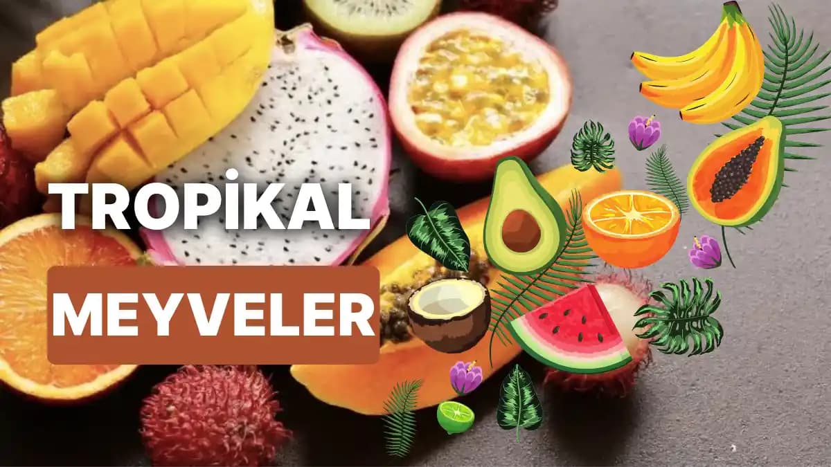 Tropikal Meyve Çeşitleri ve Sağlık Üzerindeki Faydaları Hakkında Kapsamlı Bilgi