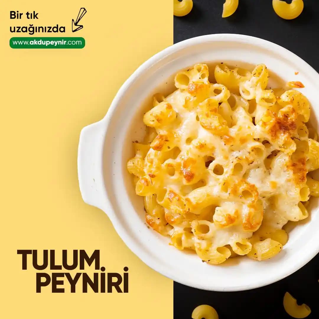 Tulum Peyniri: Geleneksel ve Modern Üretim Yöntemleriyle Türk Peynir Kültürünün Vazgeçilmezi