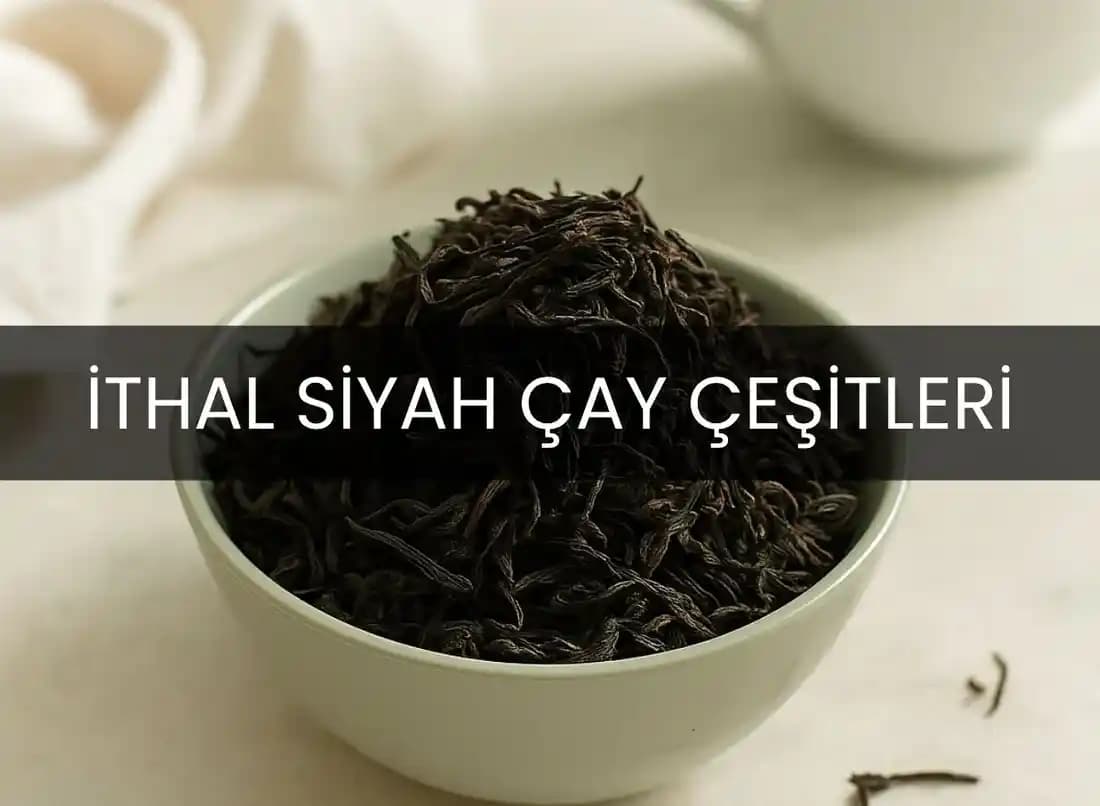 Türkiye’de Siyah Çay Çeşitleri ve İhracat Analizi: Bölgesel Farklılıklar ve Gelecek Perspektifi