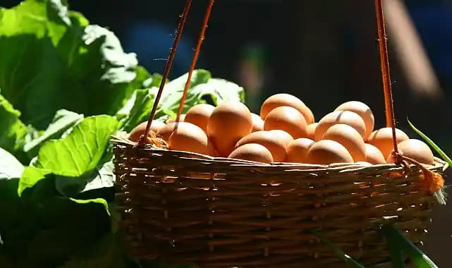 Uygun Fiyatlı Yumurta Alımı ve Tüketici Rehberi