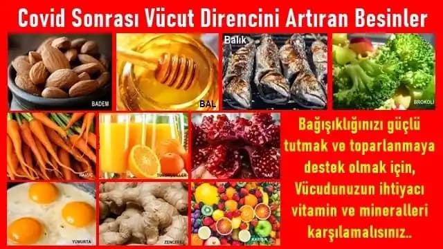 Bağışıklık Sistemini Güçlendiren Besin Grupları ve Sağlıklı Yaşam İpuçları