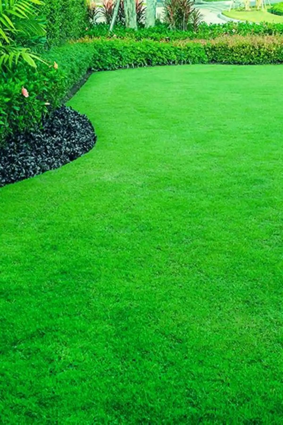 Genel Markalar İthal Çim Tohumu 6’lı Karışım: Dayanıklı ve Estetik Çim Çözümü