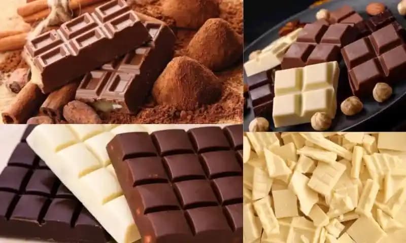 Çikolata Çeşitleri ve Tatlı Dünyasındaki Yeri Hakkında Kapsamlı Bilgi