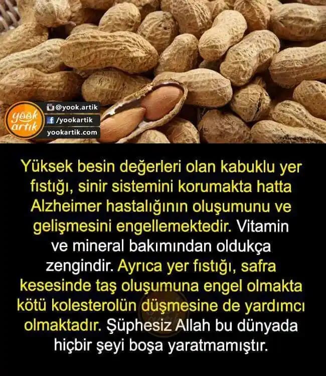Yer Fıstığının Sağlıklı Alternatifleri ve Doğal Atıştırmalık Seçenekleri