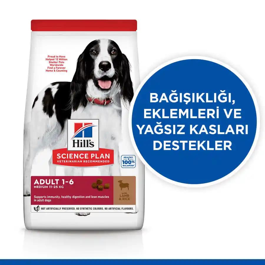 Yetişkin Köpek Mamaları Seçenekleri ve Sağlıklı Beslenme Rehberi