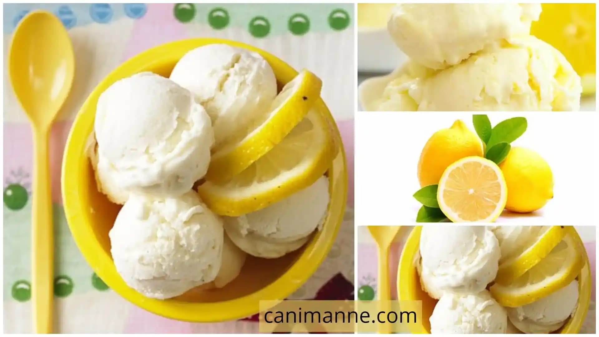 Yoğurtlu Dondurma: Sağlıklı ve Lezzetli Bir Tatlı Seçeneği