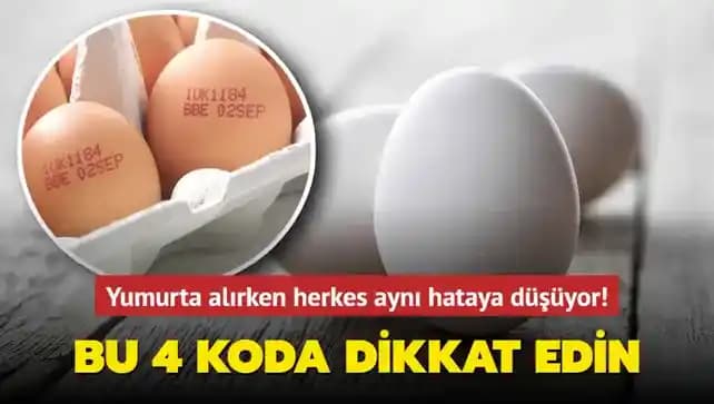 Yumurta Alırken ve Saklarken Dikkat Edilmesi Gereken Temel Kurallar ve Güvenlik İpuçları